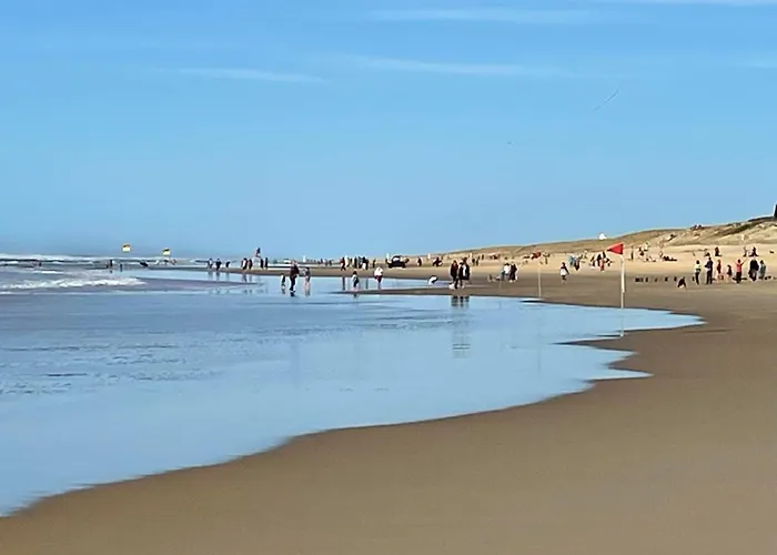 Appartamento Les Vagues By Interhome Mimizan